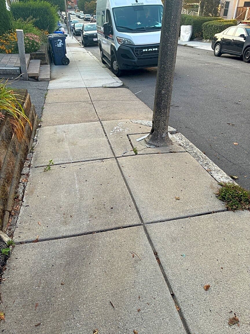 Image submitted with report