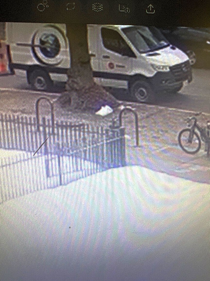 Image submitted with report