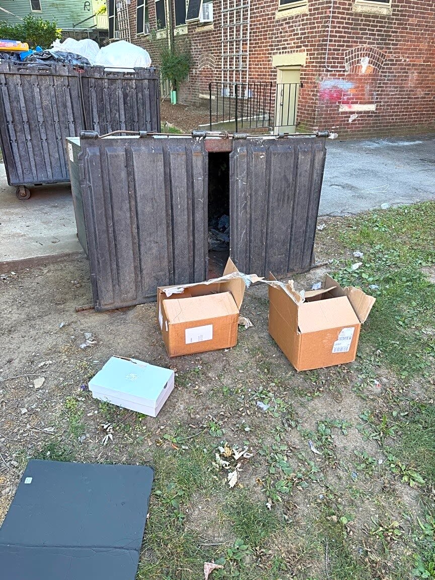 Image submitted with report