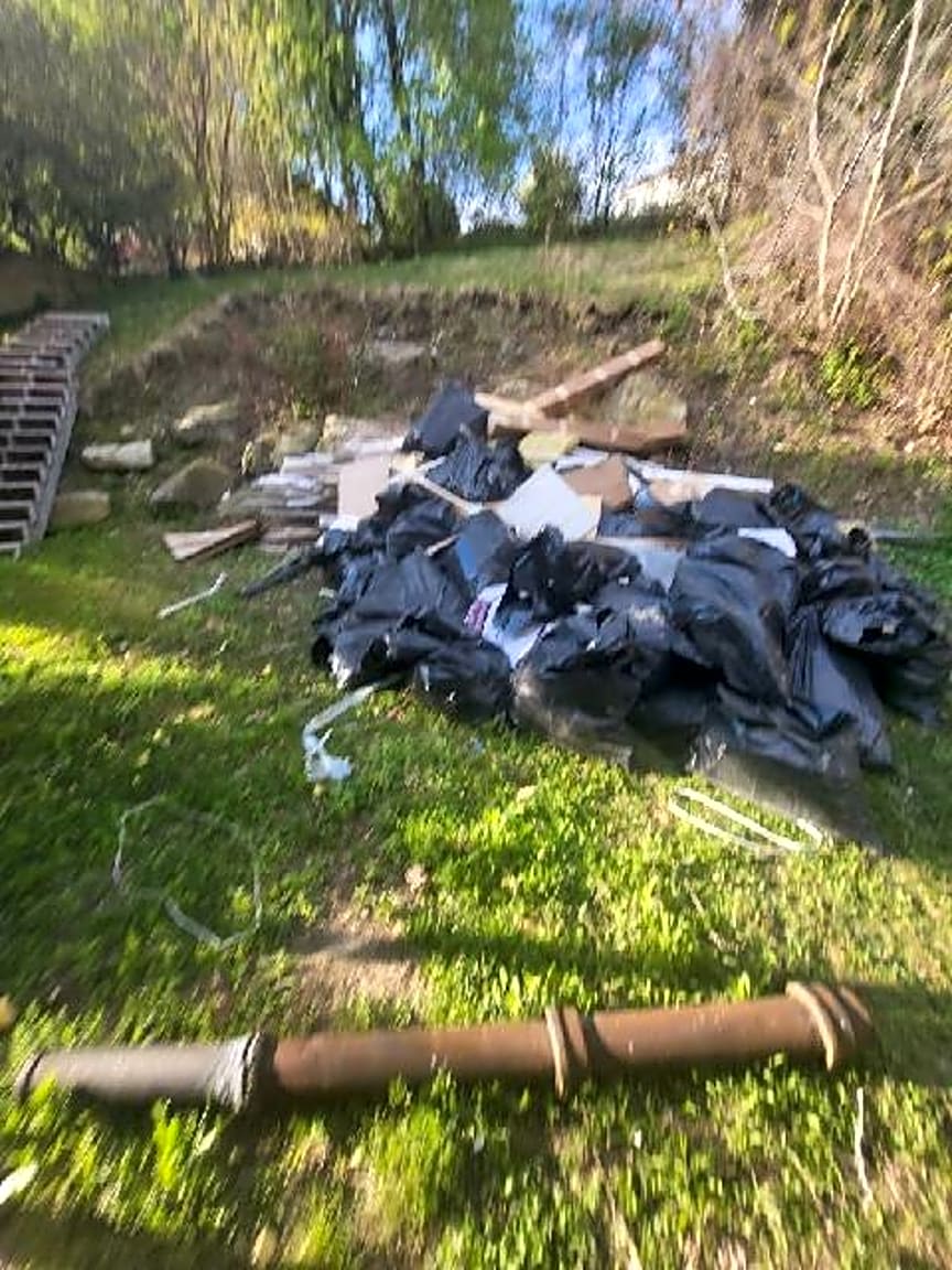 Image submitted with report