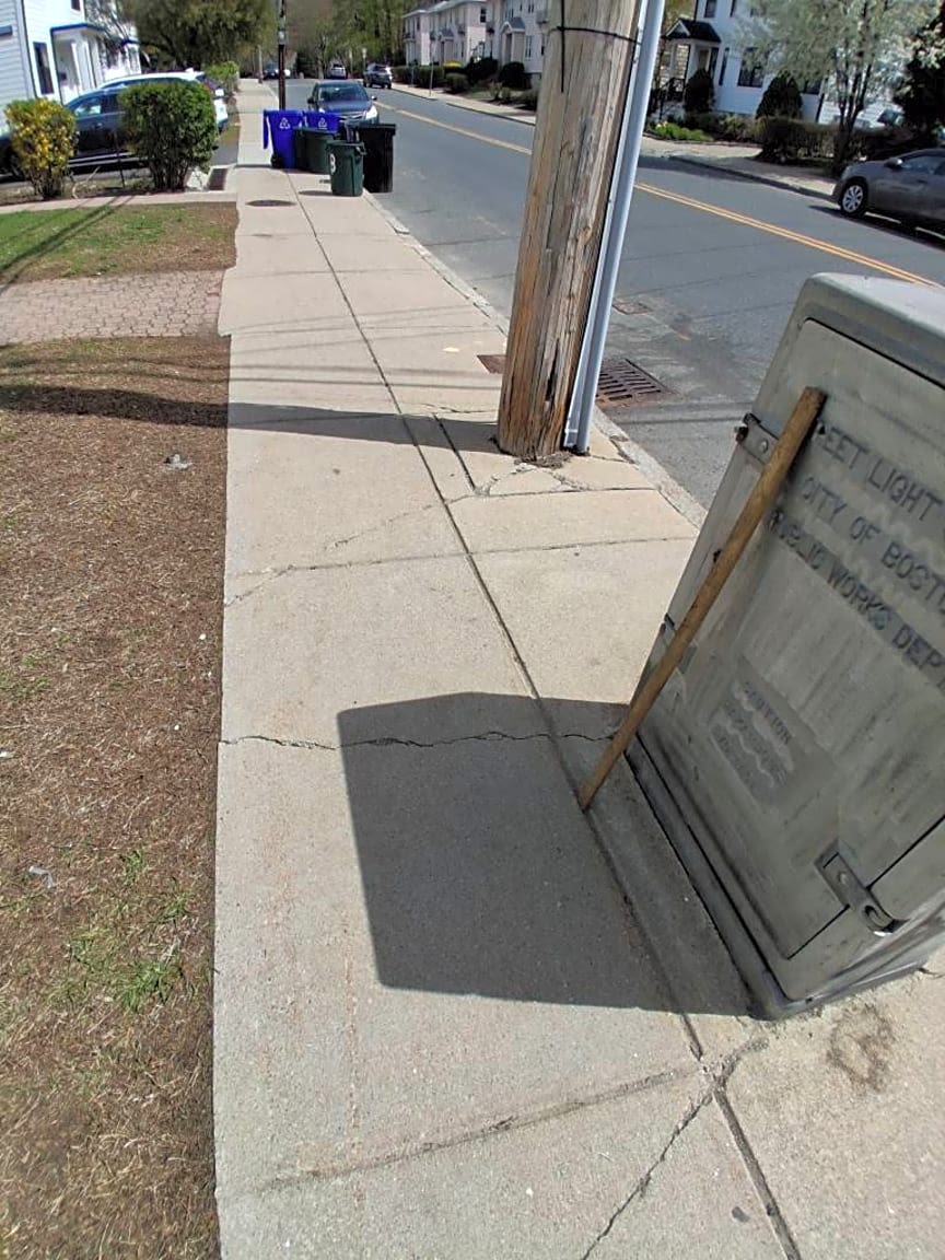 Image submitted with report