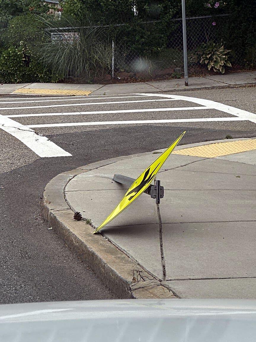 Image submitted with report