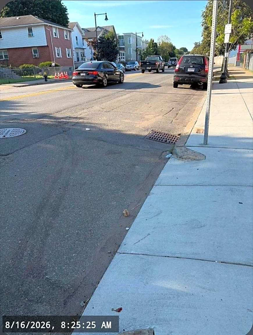 Image submitted with report