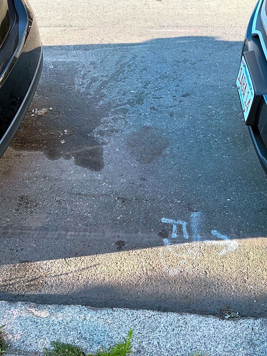 Image submitted with report