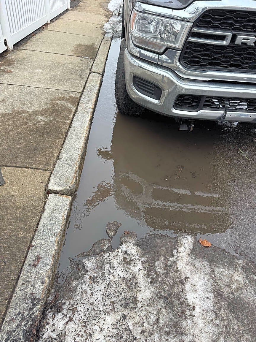 Image submitted with report