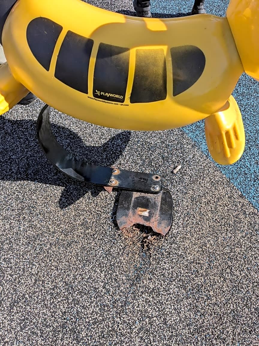 Image submitted with report