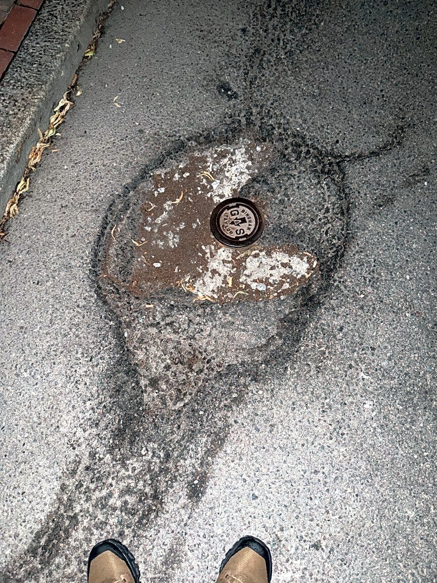 Image submitted with report