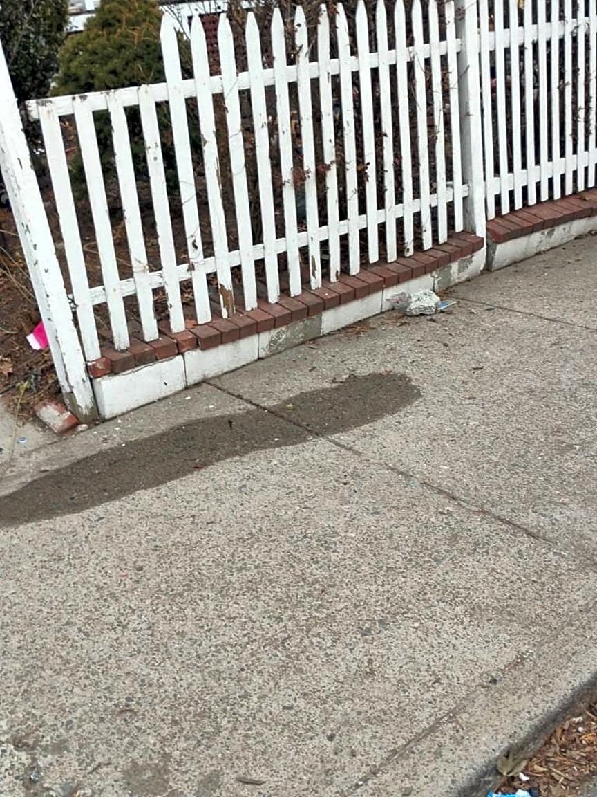 Image submitted with report