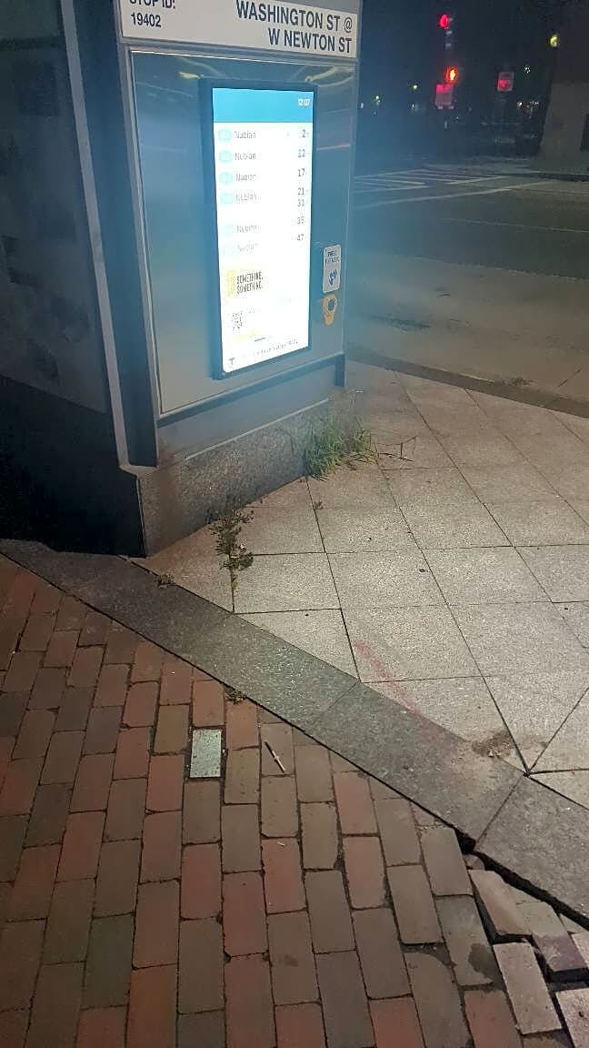 Image submitted with report