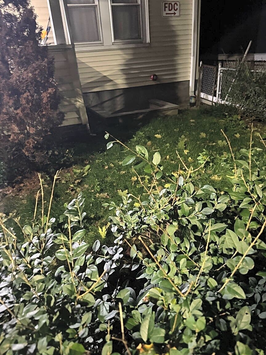 Image submitted with report