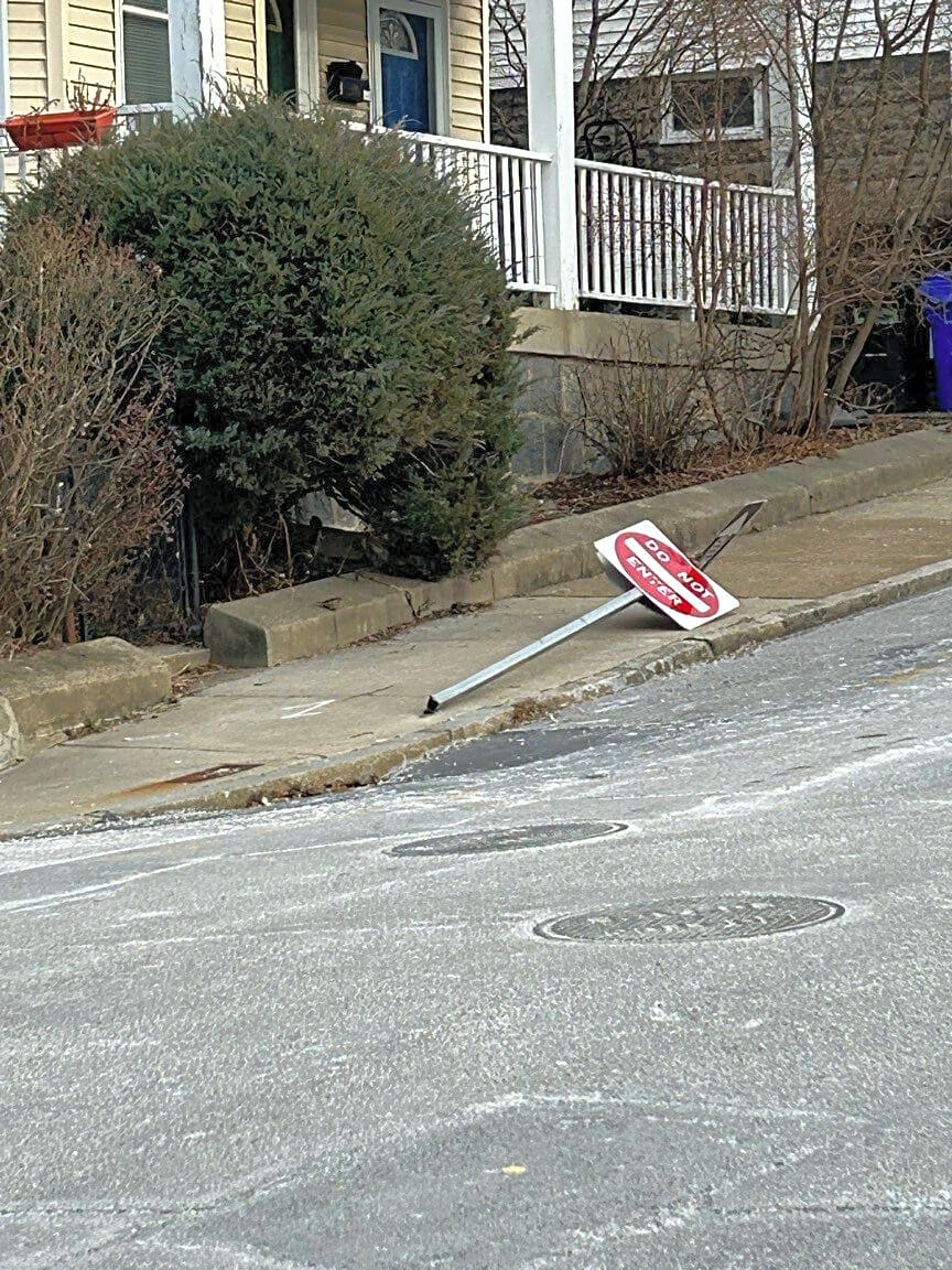 Image submitted with report