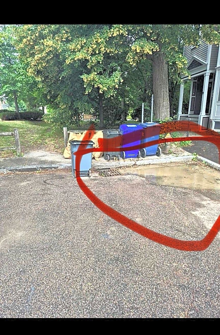 Image submitted with report