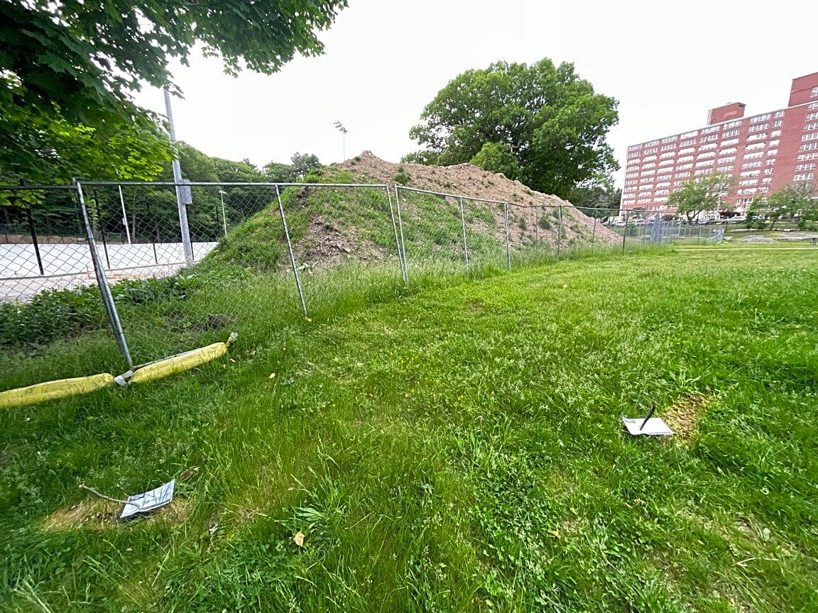 Image submitted with report