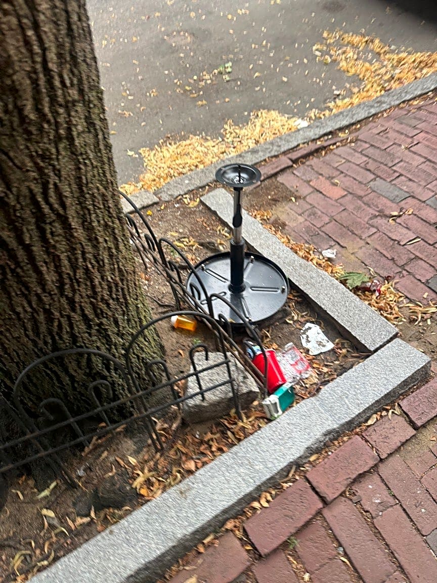 Image submitted with report