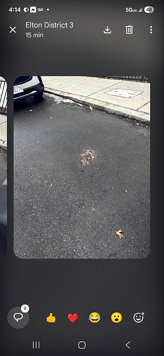 Image submitted with report