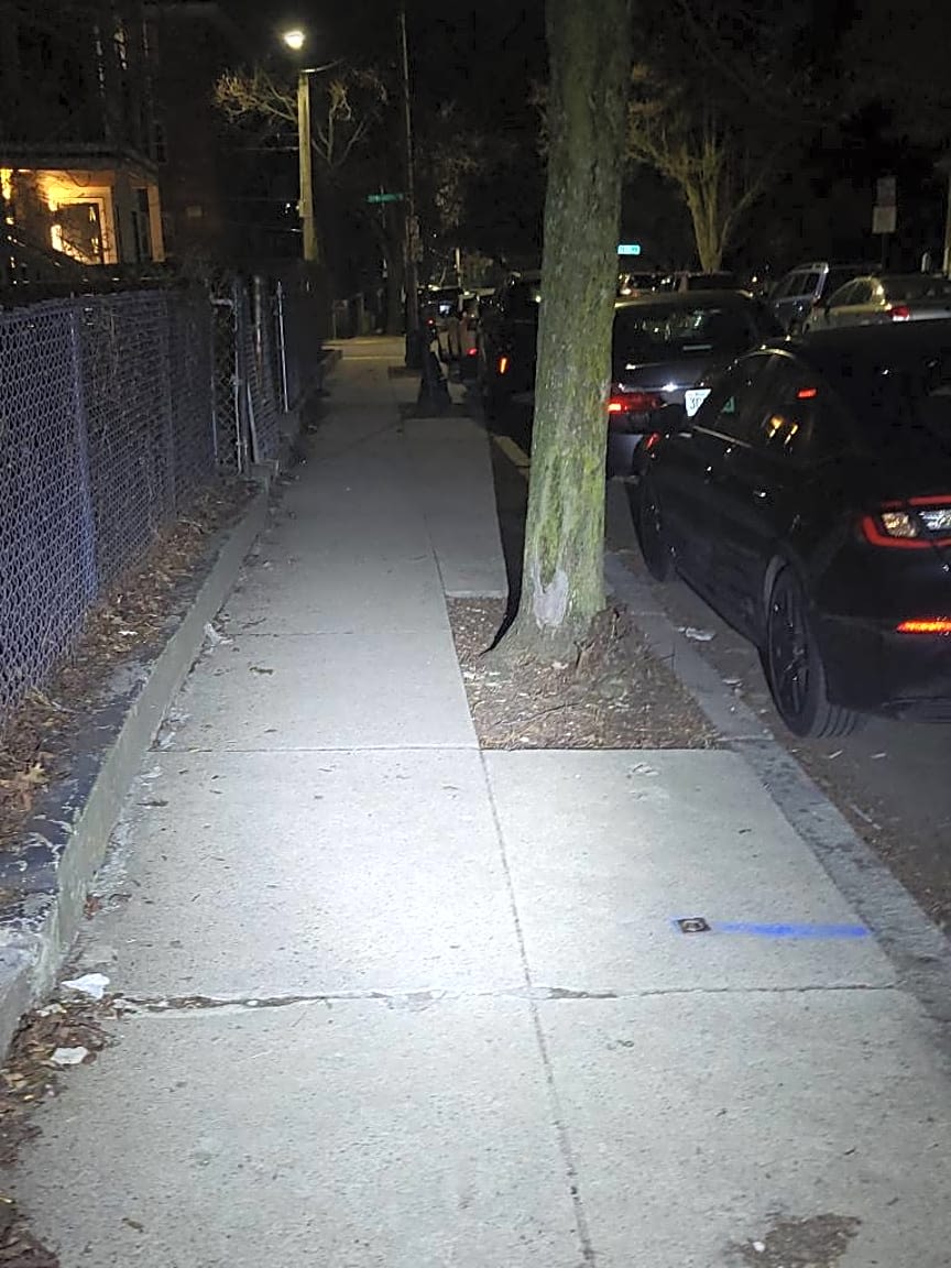 Image submitted with report