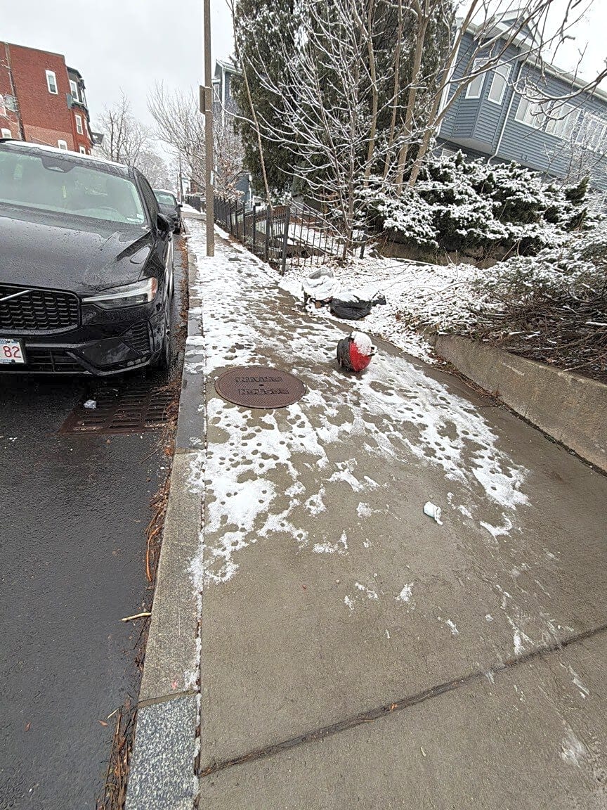 Image submitted with report