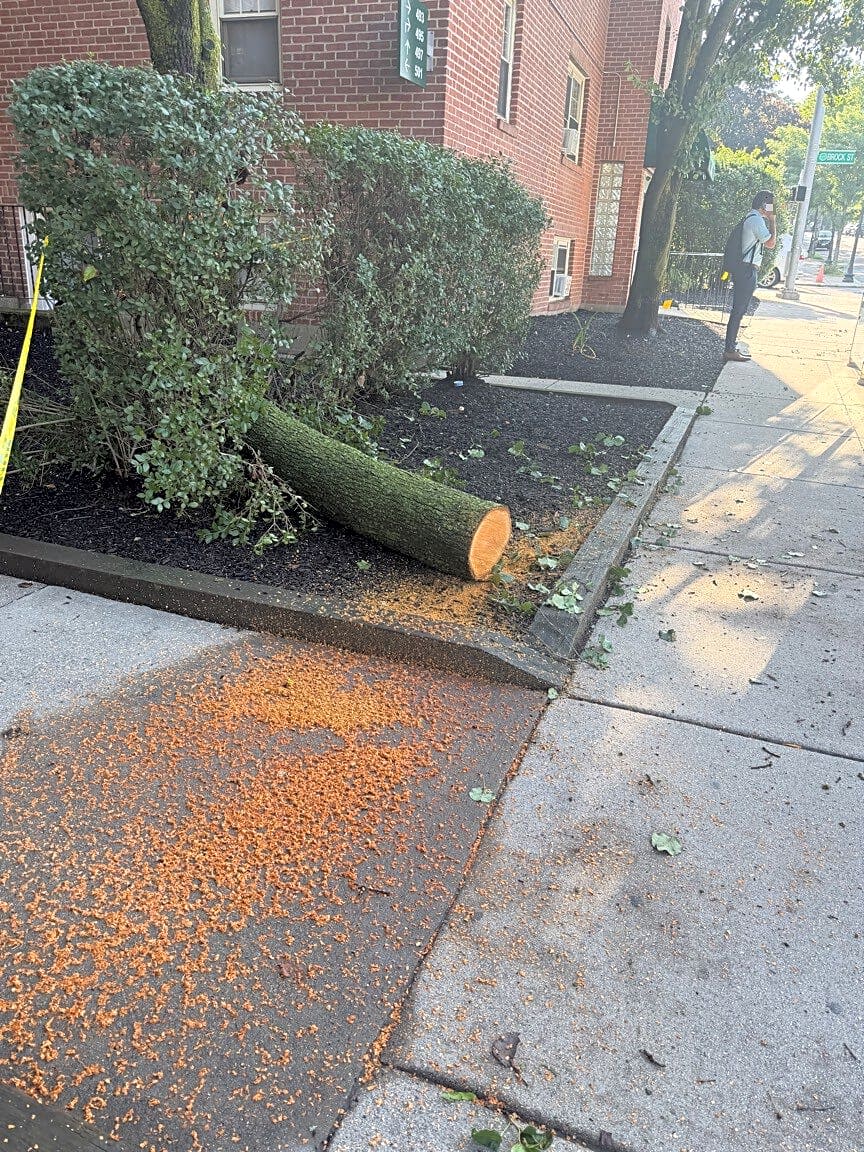Image submitted with report