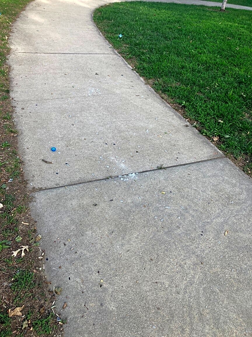 Image submitted with report