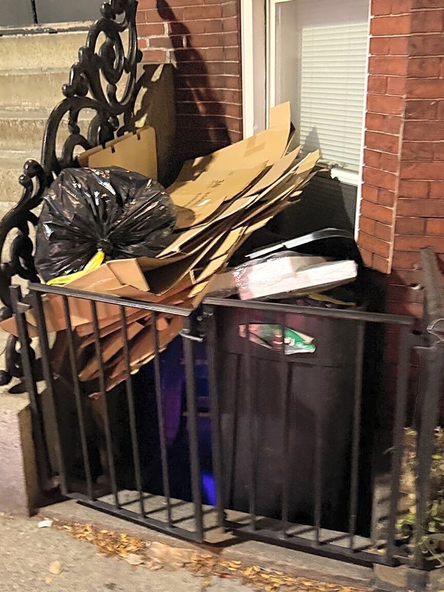 Image submitted with report