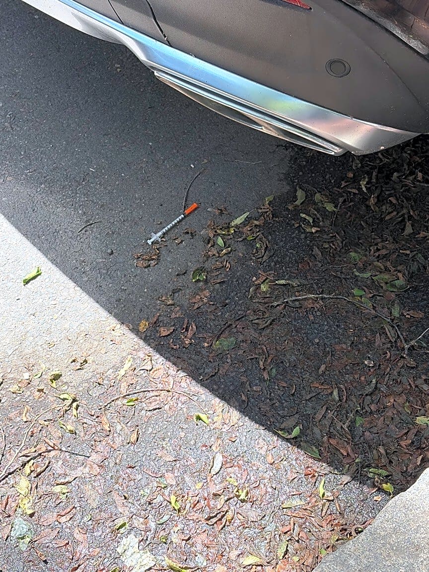 Image submitted with report