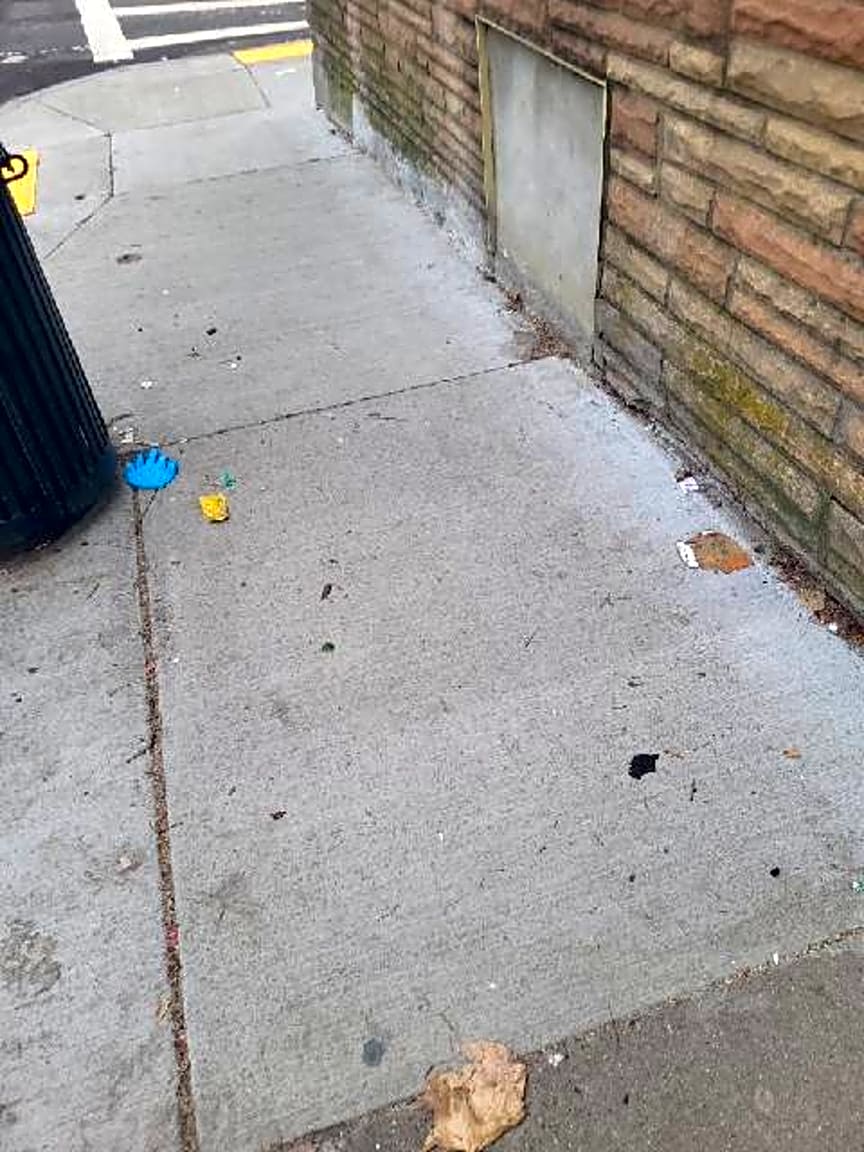 Image submitted with report