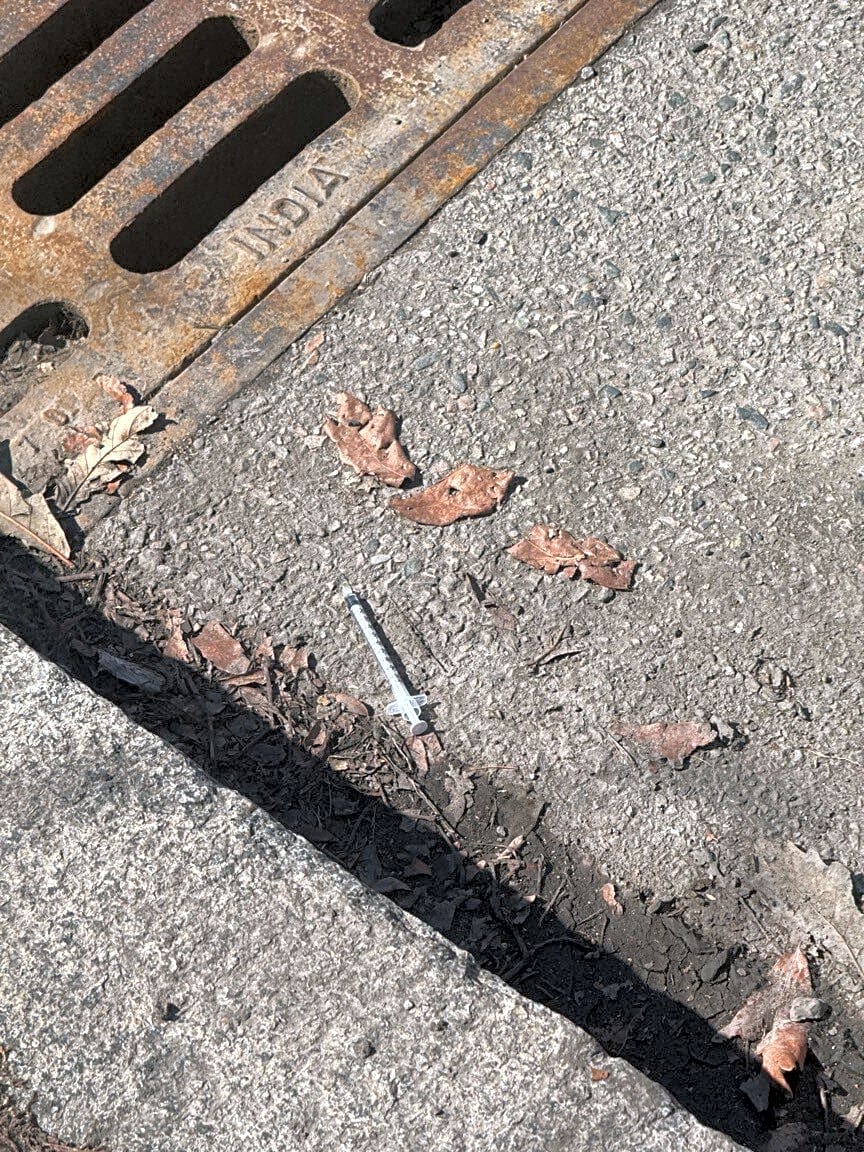 Image submitted with report