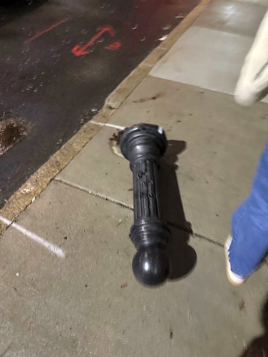 Image submitted with report