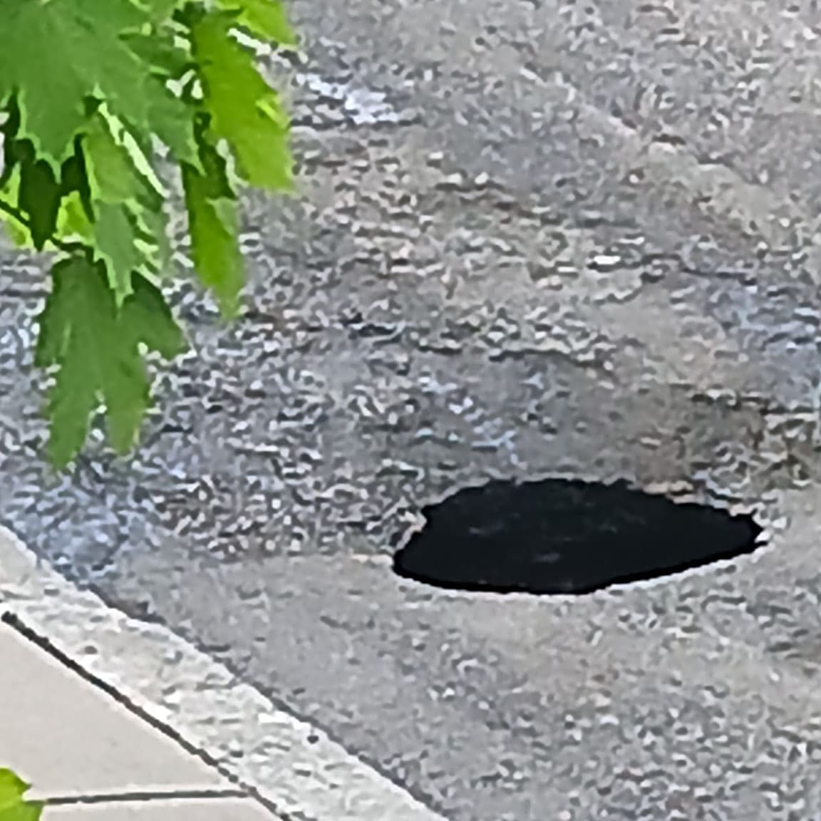 Image submitted with report