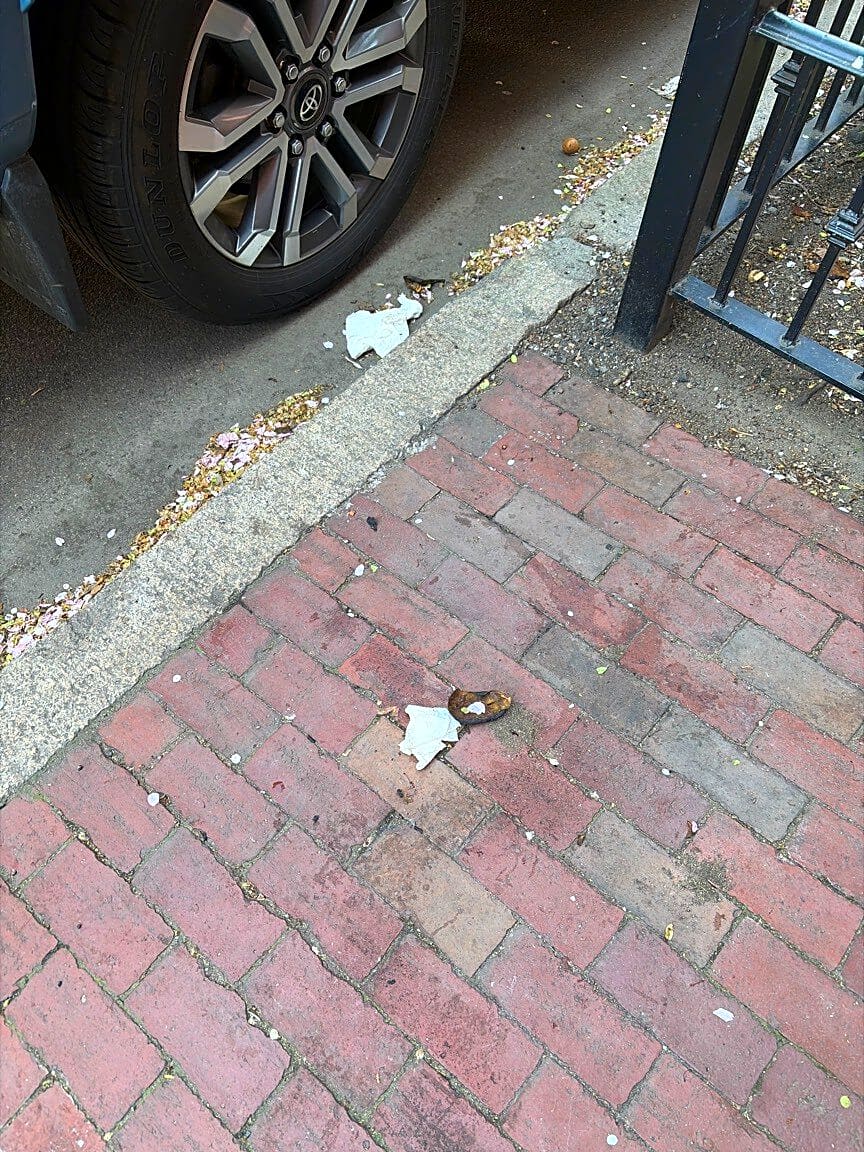 Image submitted with report