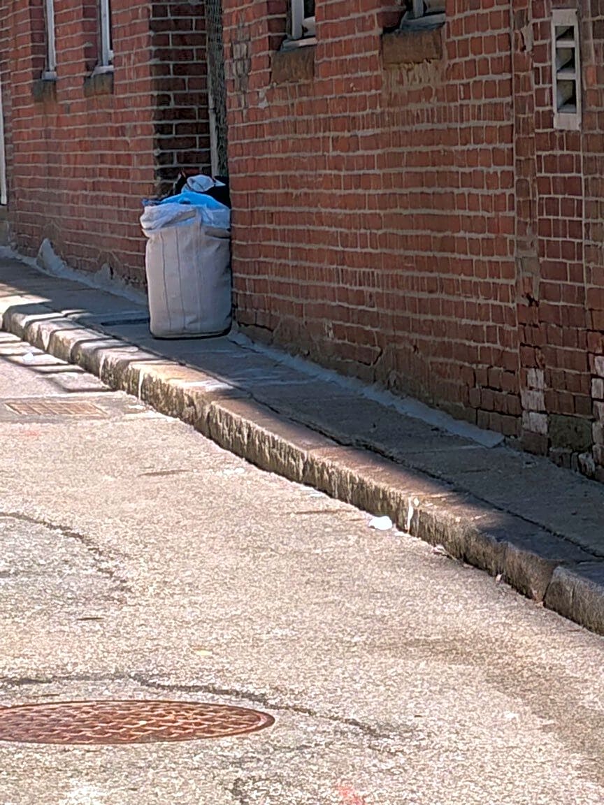 Image submitted with report