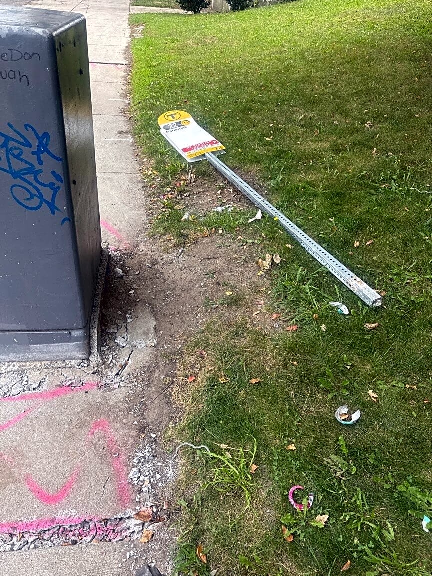 Image submitted with report