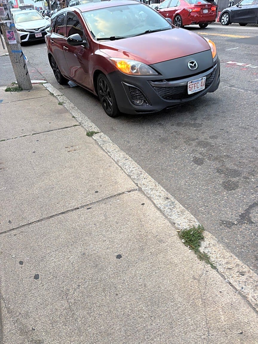 Image submitted with report