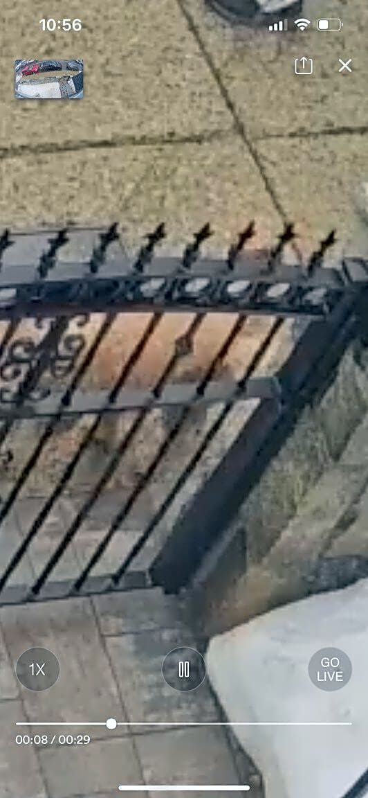 Image submitted with report