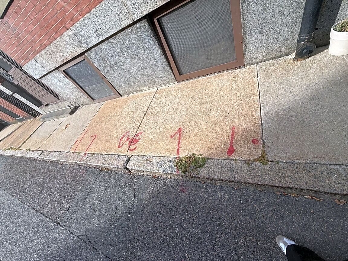 Image submitted with report