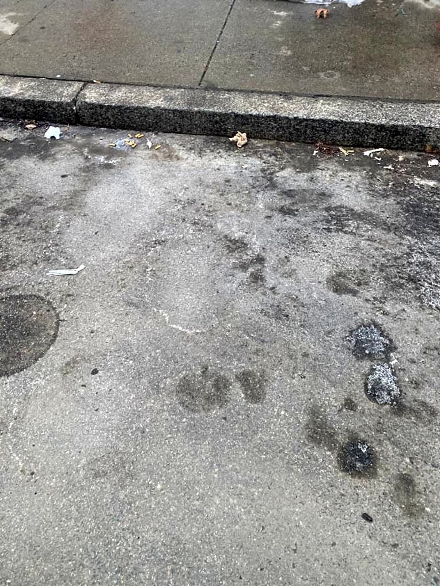 Image submitted with report