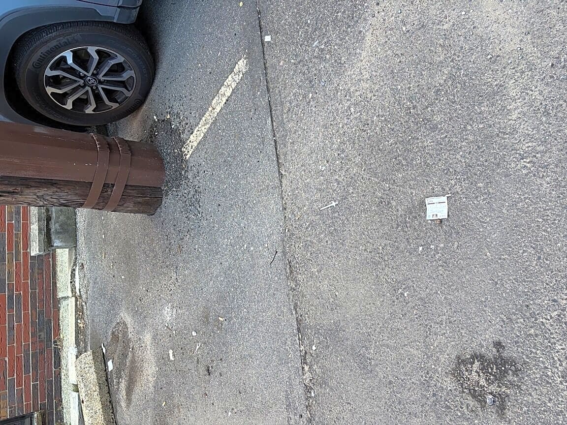 Image submitted with report