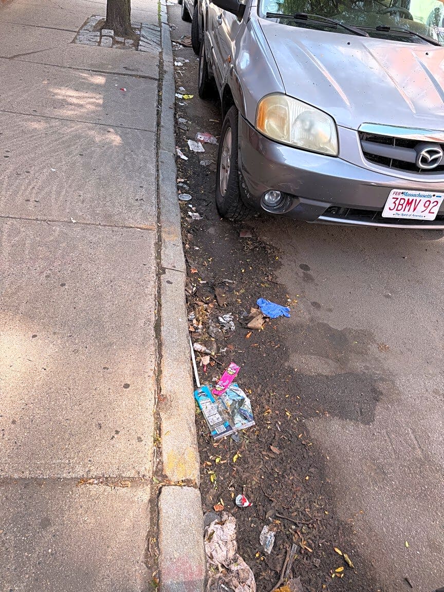 Image submitted with report