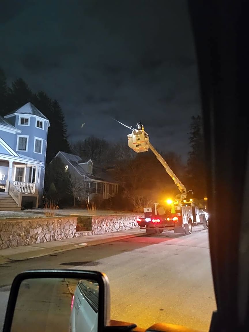 Image submitted with report