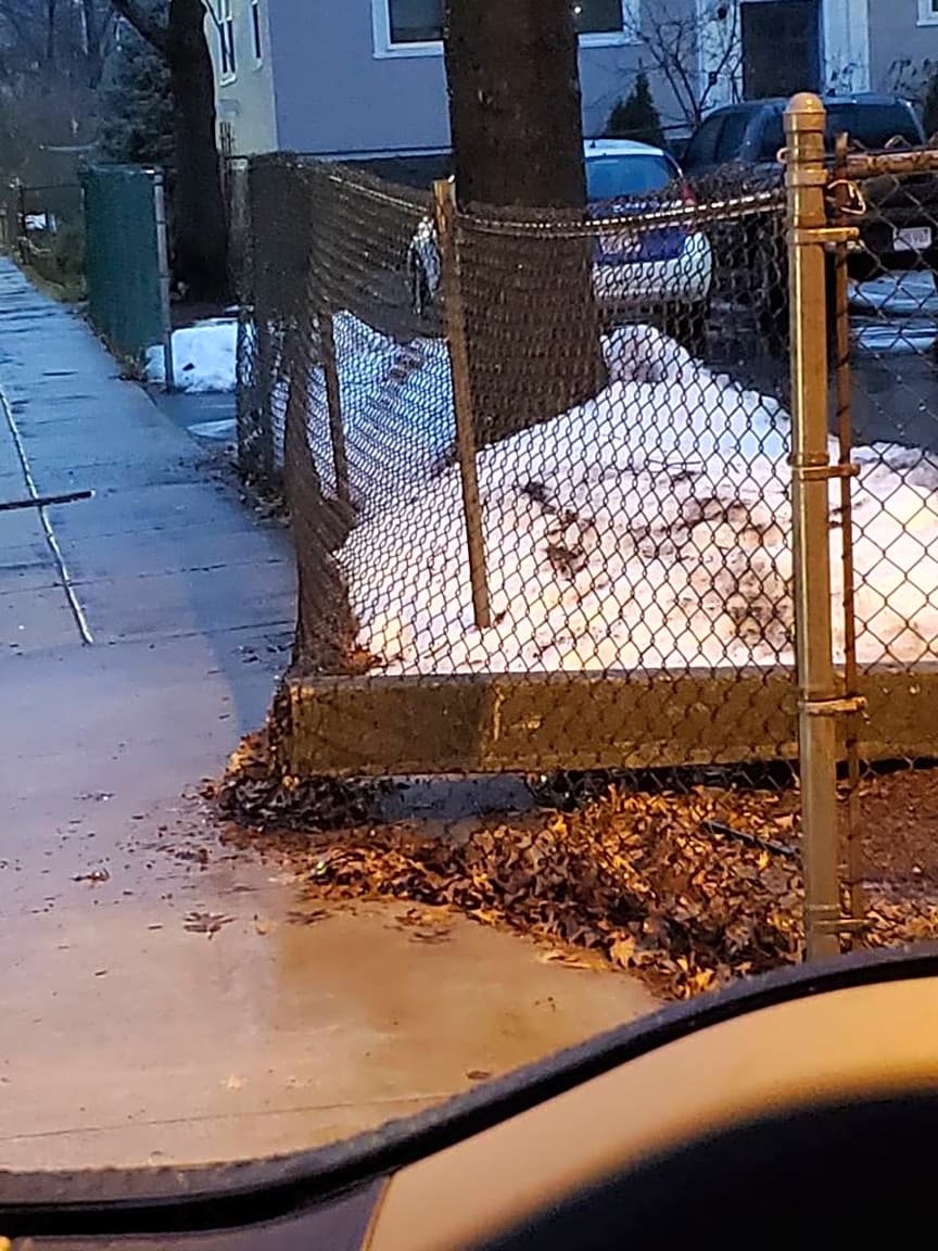 Image submitted with report