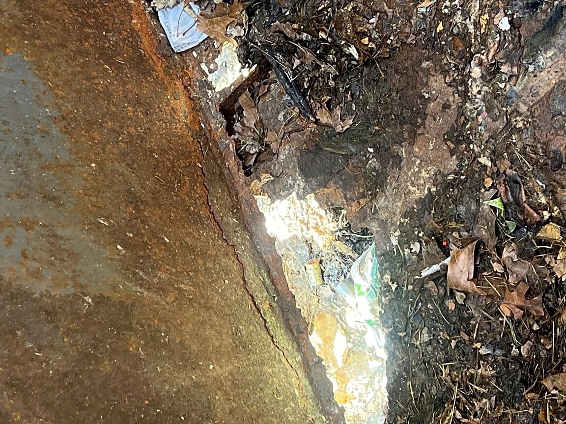 Image submitted with report
