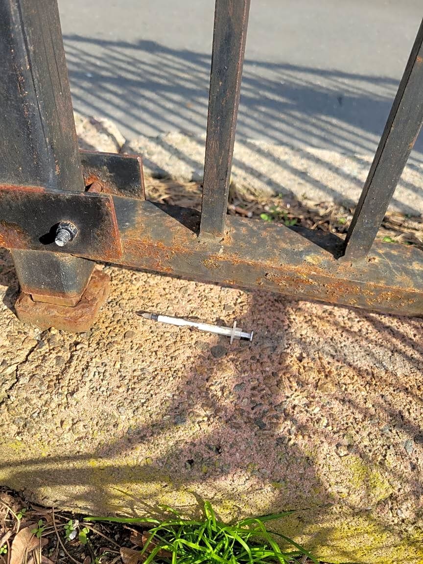 Image submitted with report