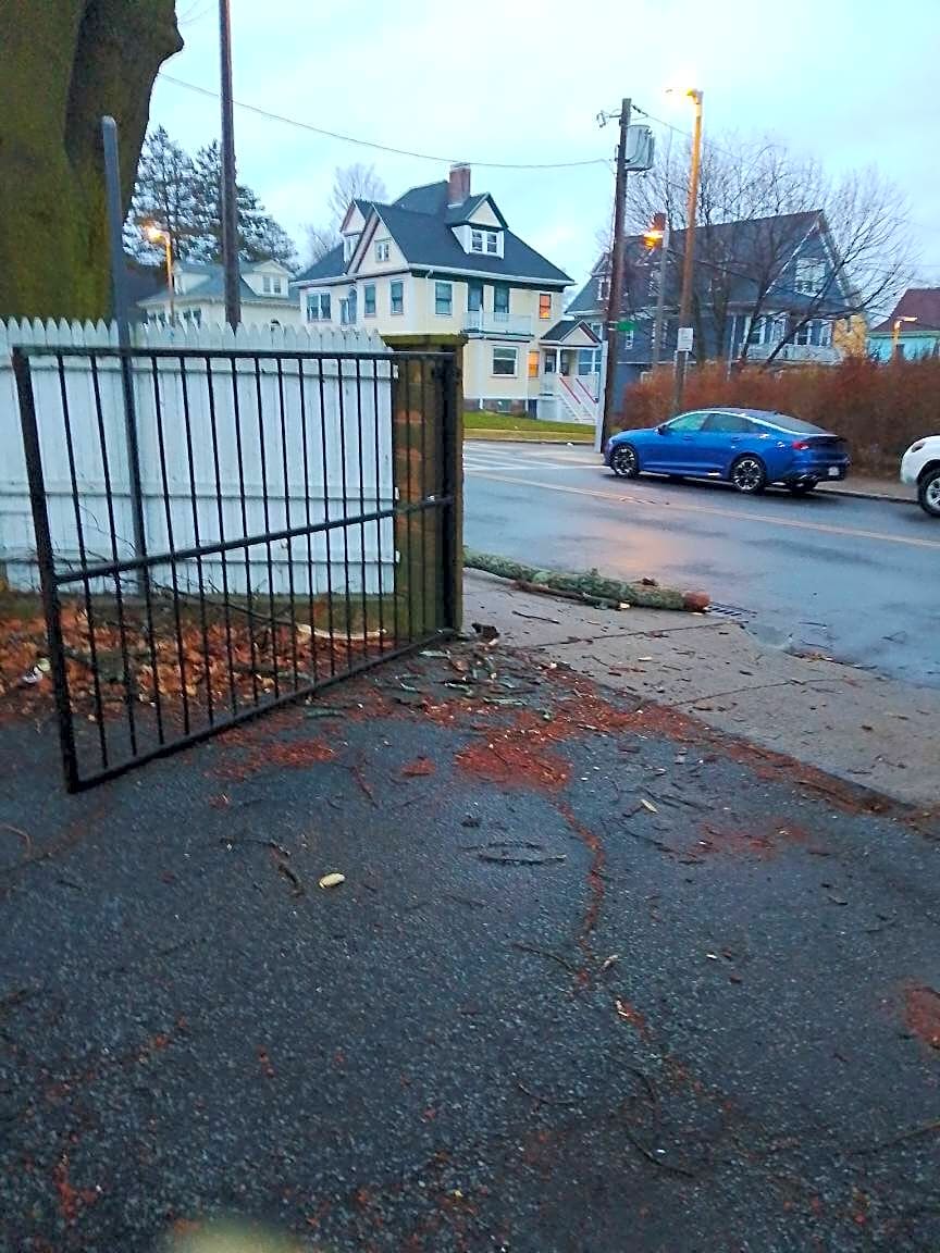 Image submitted with report