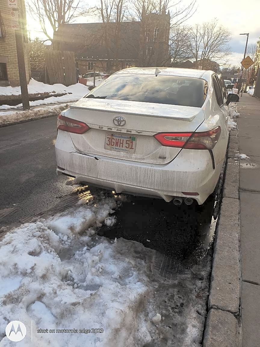 Image submitted with report