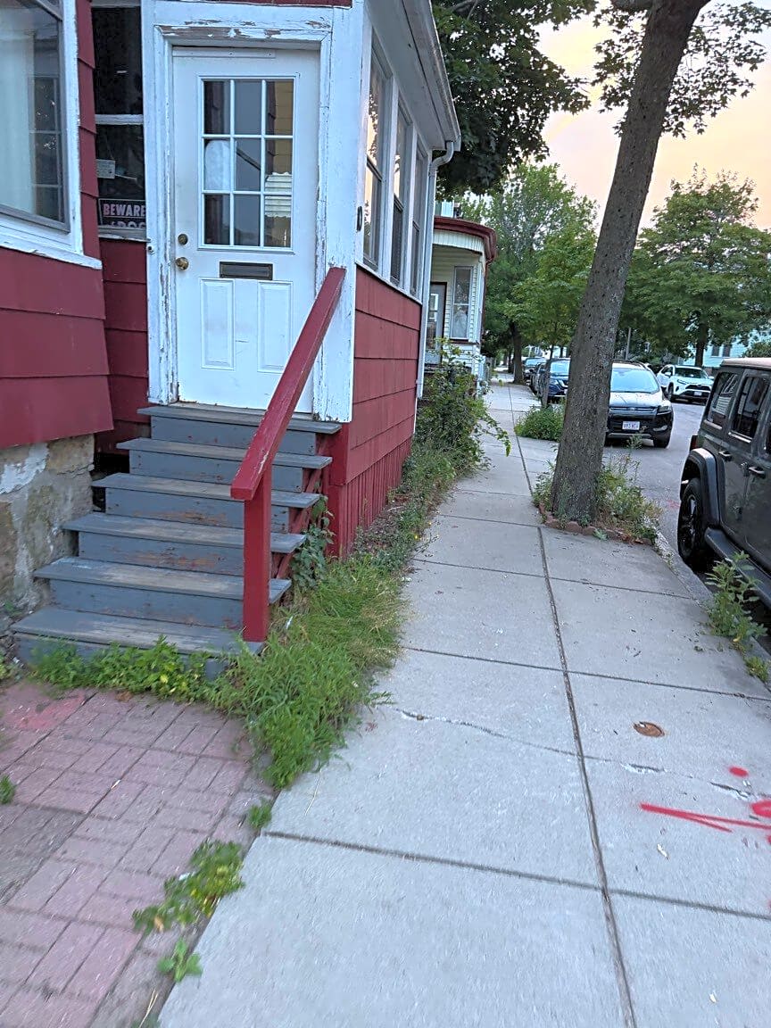 Image submitted with report