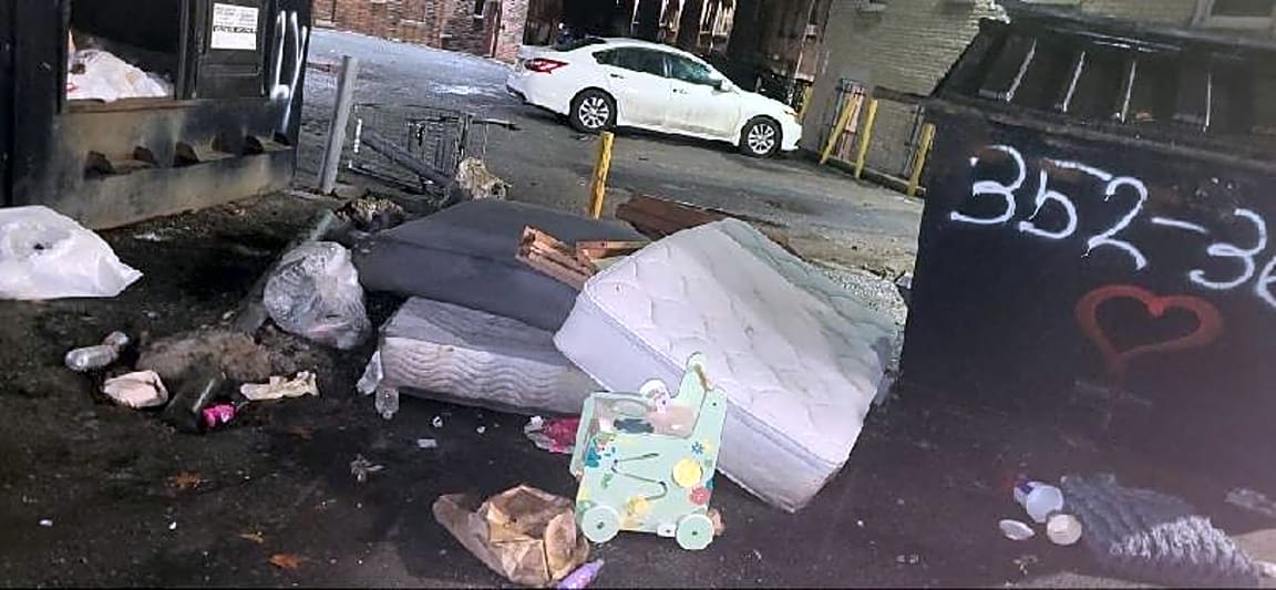 Image submitted with report