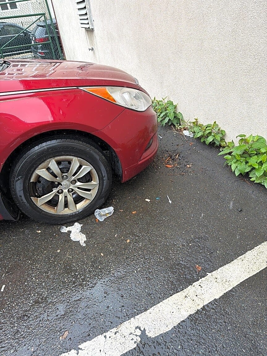 Image submitted with report