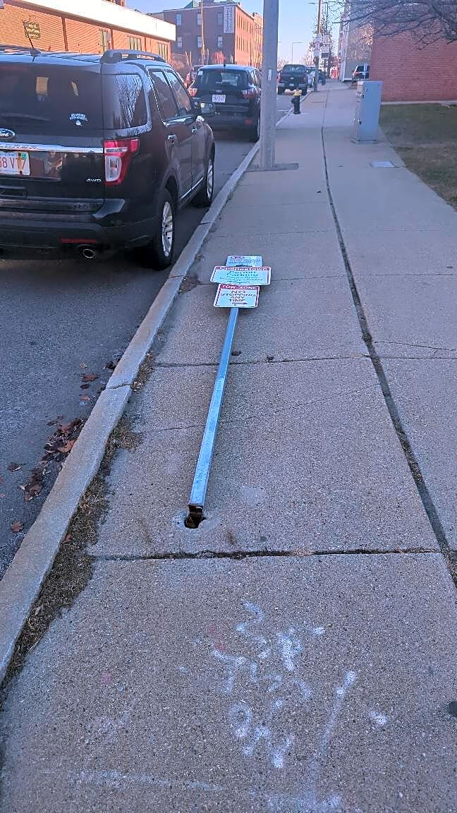 Image submitted with report