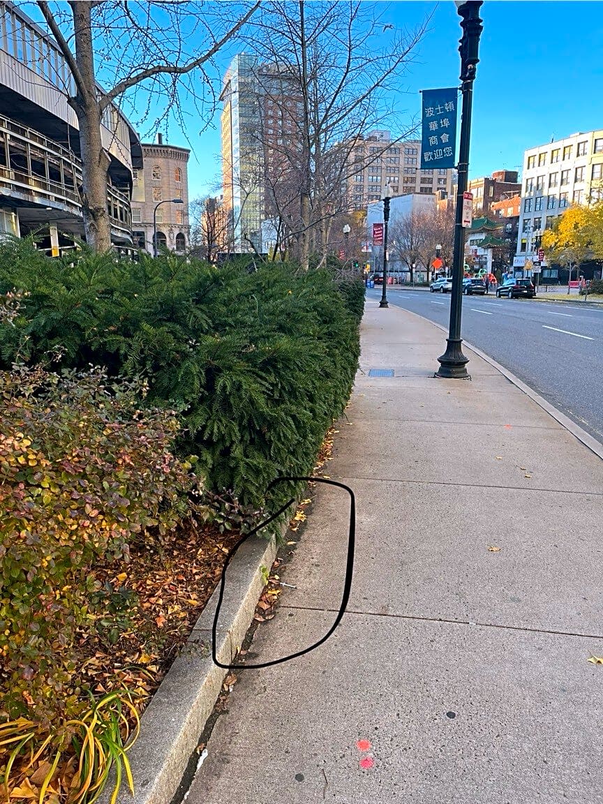 Image submitted with report