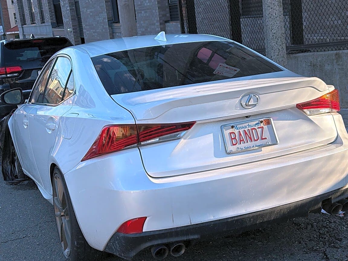 Image submitted with report